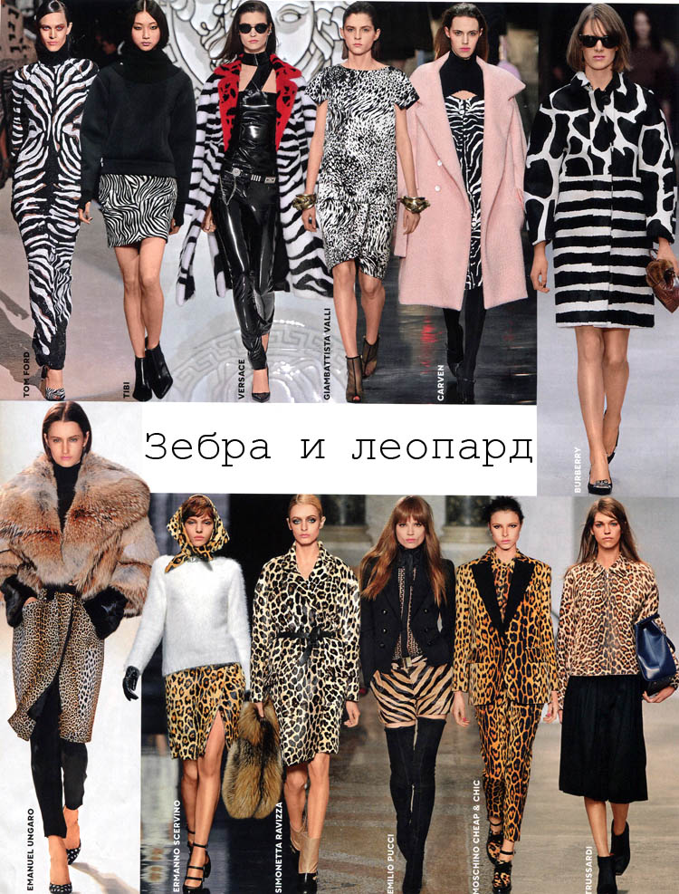 зебра и леопард