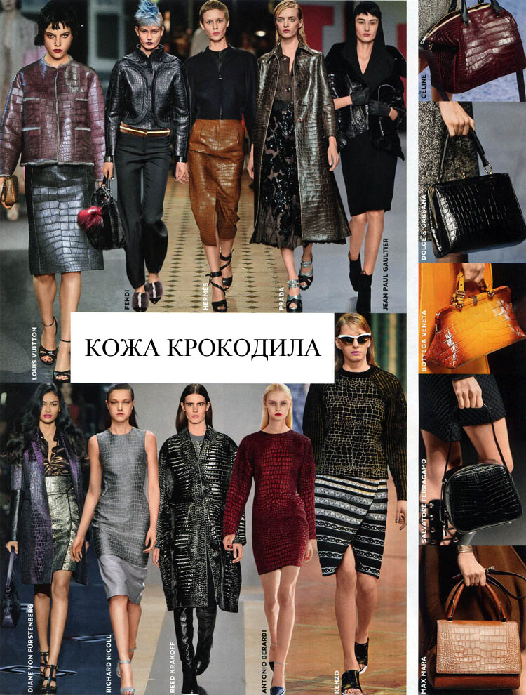 кожа крокодила
